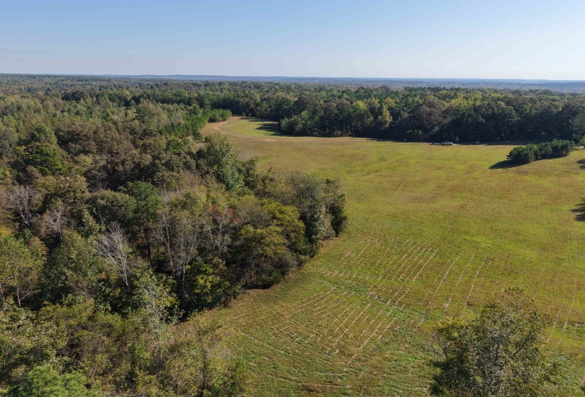 000 BURGESS LOOP RD, Middleton, Tennessee 38052, ,Land,For Sale,BURGESS LOOP,10212654