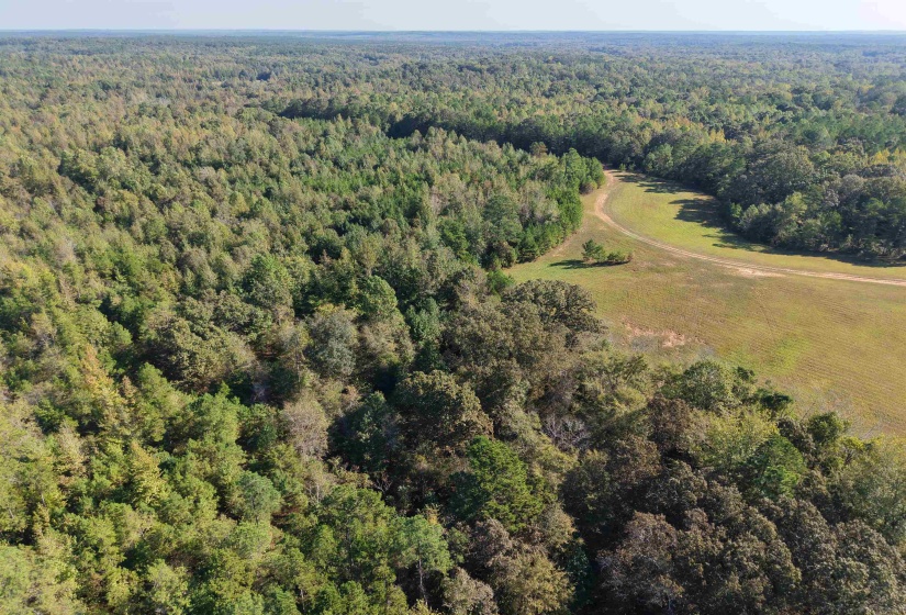 000 BURGESS LOOP RD, Middleton, Tennessee 38052, ,Land,For Sale,BURGESS LOOP,10212654