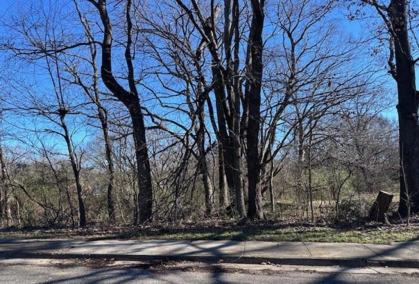 3602 SILAS RD, Memphis, Tennessee 38109, ,Land,For Sale,SILAS,10212739