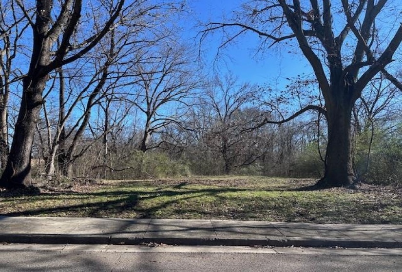 3602 SILAS RD, Memphis, Tennessee 38109, ,Land,For Sale,SILAS,10212739