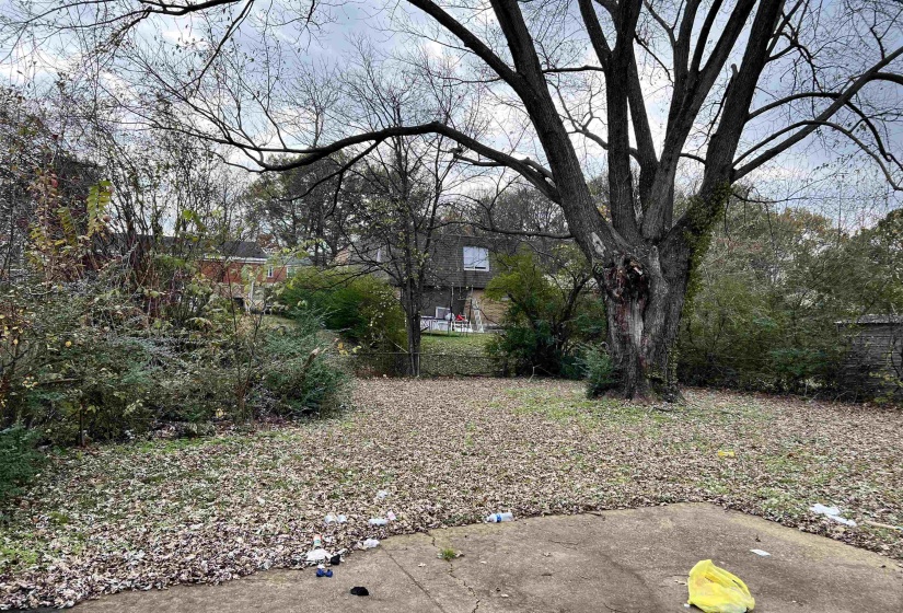 View of yard