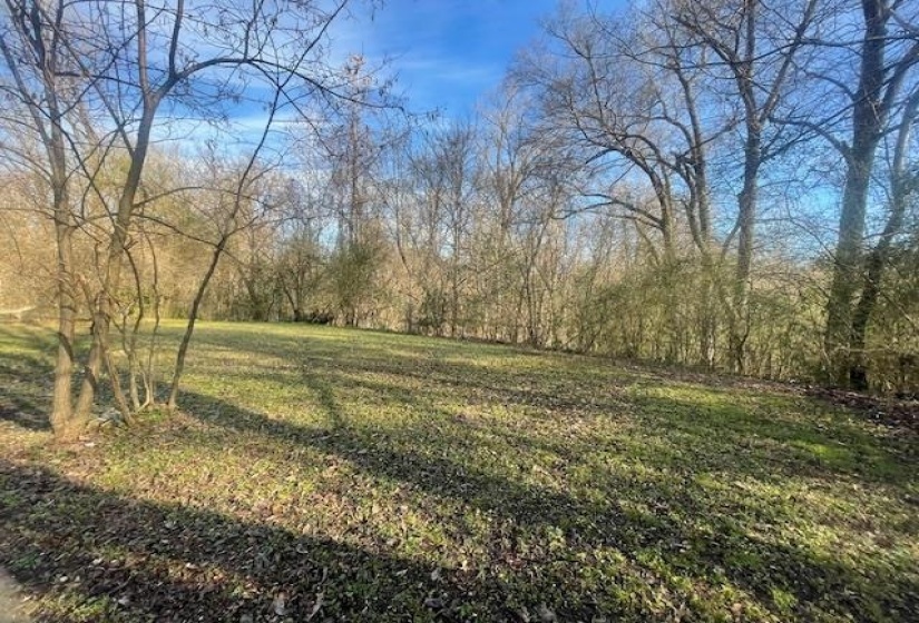View of green lawn with a forest view
