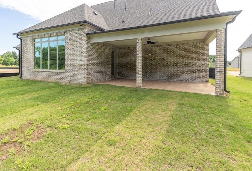 Gas Line and TV outlet. No maintenance brick columns