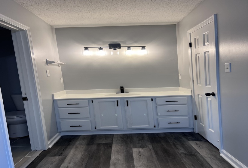 Bathroom featuring vanity, dark wood finished floors, and a textured ceiling