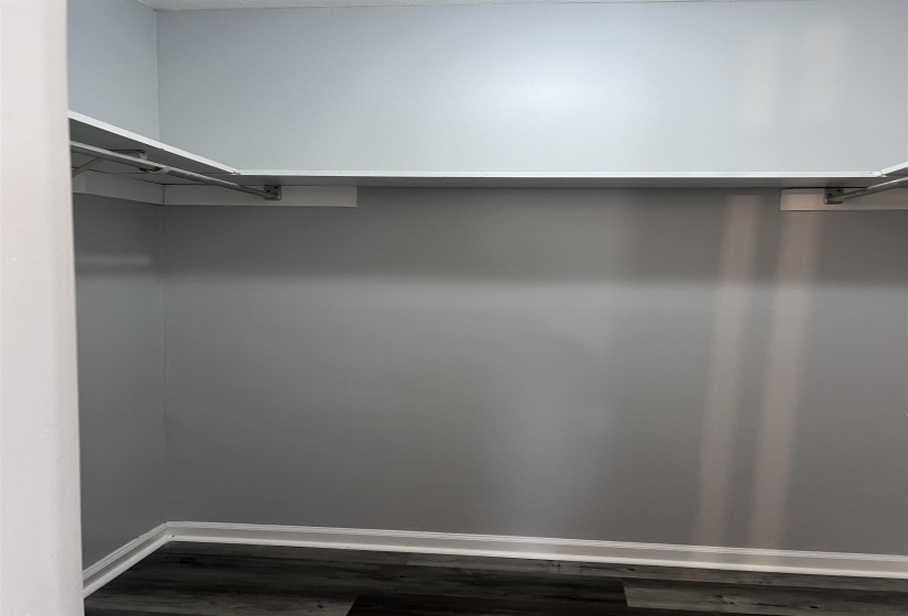 Spacious closet with dark wood finished floors