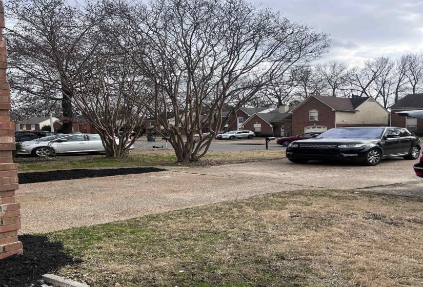 View of yard with a residential view