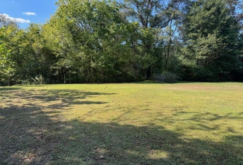 View of grassy yard