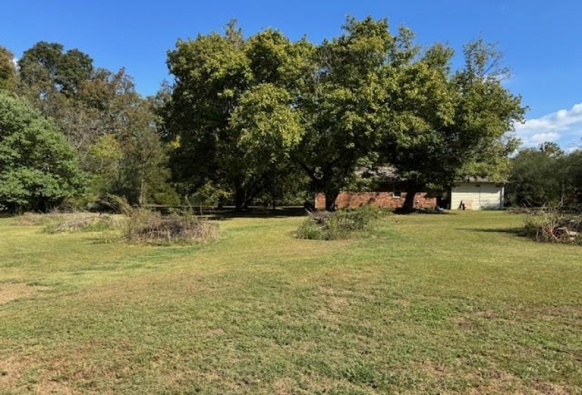 View of grassy yard