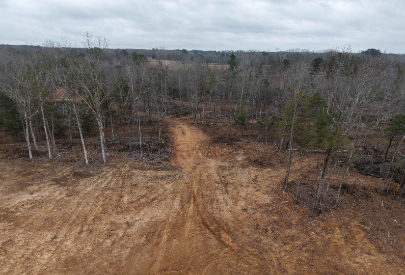 View of wooded area