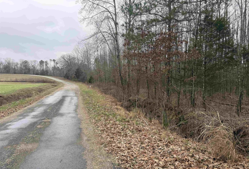 View of asphalt street with a view of trees