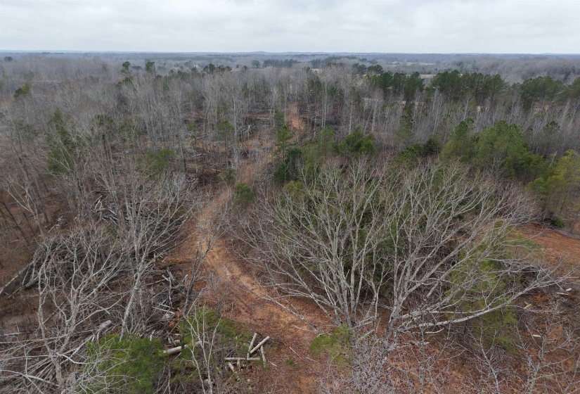 000 SPRING HILL CEMETERY RD RD, Sardis, Tennessee 38371, ,Land,For Sale,SPRING HILL CEMETERY RD,10212865
