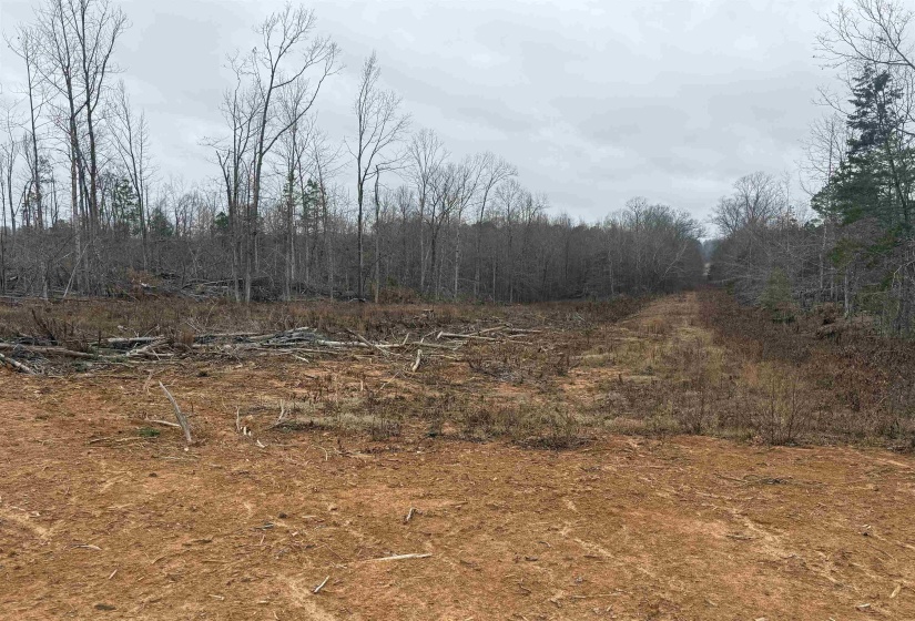 View of wooded area