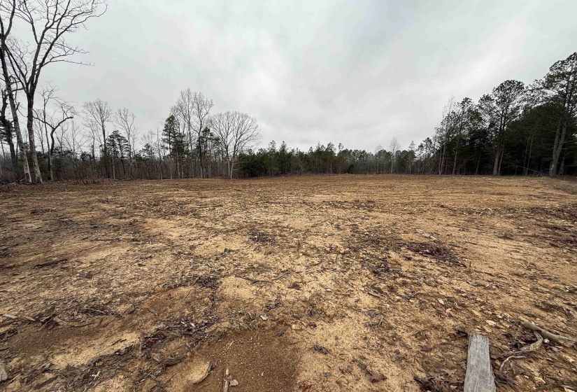 View of wooded area