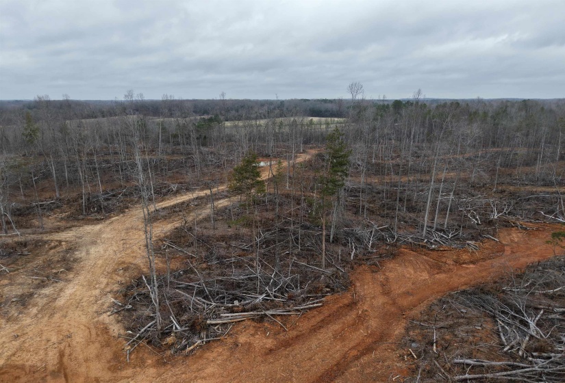 View of undeveloped land