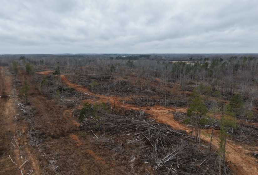 Aerial view of property's location