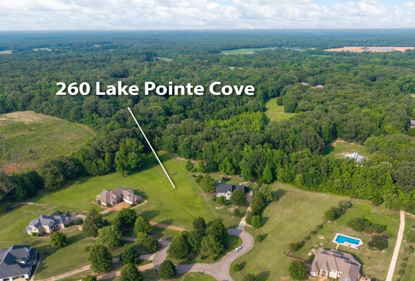 Aerial overview of property's location with a forest