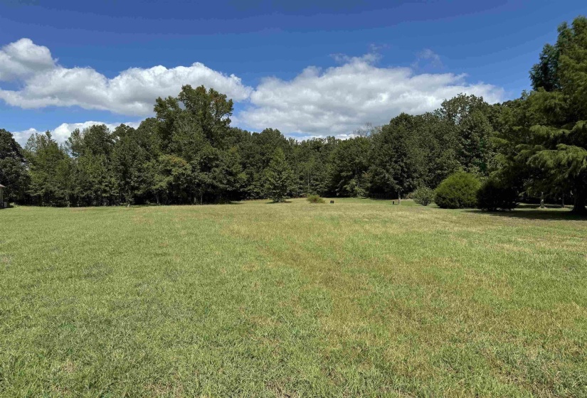 View of wooded area featuring a view of rural / pastoral area