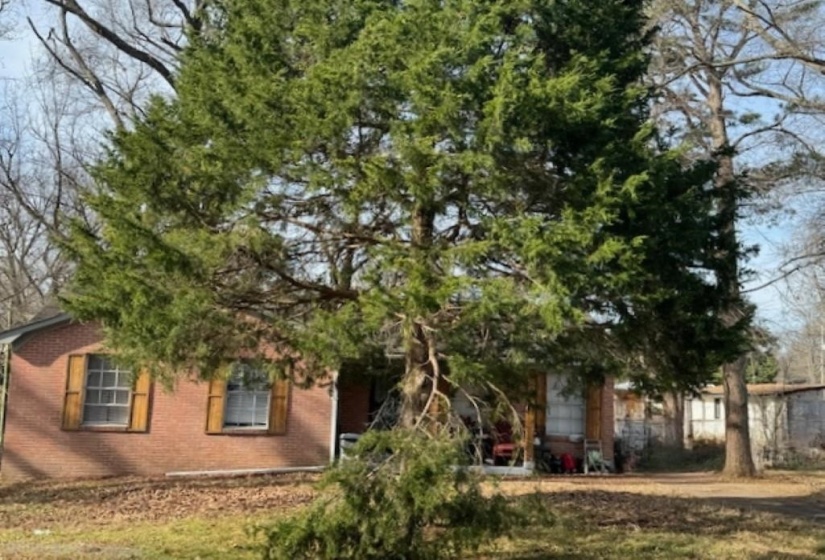 4897 SOUTHAVEN RD, Memphis, Tennessee 38109, 4 Bedrooms Bedrooms, 6 Rooms Rooms,1.1 BathroomsBathrooms,Residential,For Sale,SOUTHAVEN,10212884