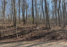 LOT 16 MOSS TRL, Counce, Tennessee 38326, ,Land,For Sale,MOSS,10212914 LOT 16 MOSS TRL, Counce, Tennessee 38326, ,Land,For Sale,MOSS,10212914