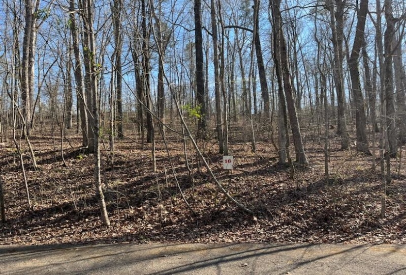 LOT 16 MOSS TRL, Counce, Tennessee 38326, ,Land,For Sale,MOSS,10212914