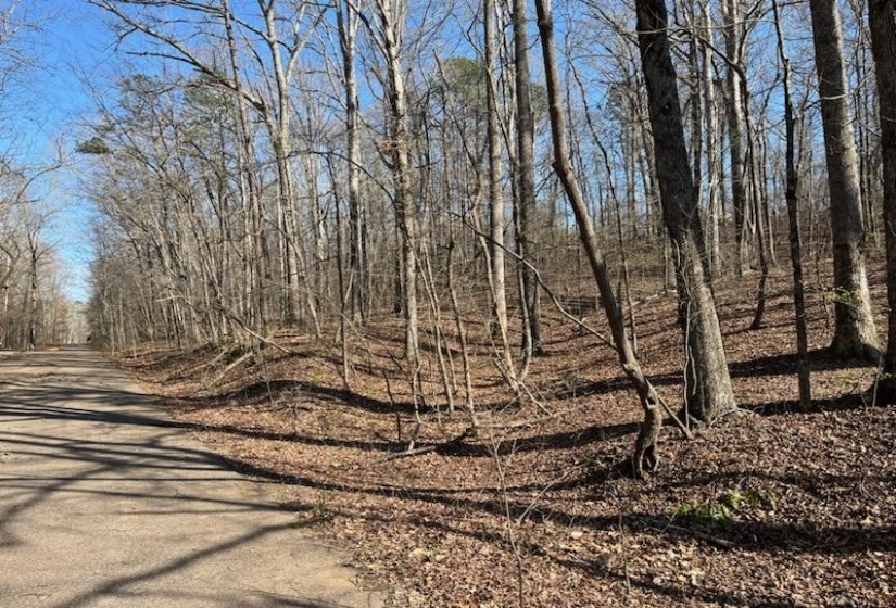 LOT 16 MOSS TRL, Counce, Tennessee 38326, ,Land,For Sale,MOSS,10212914