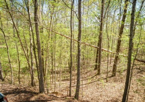 LOT 172 & 165 FAWN RIDGE RD, Parsons, Tennessee 38363, ,Land,For Sale,FAWN RIDGE,10212927