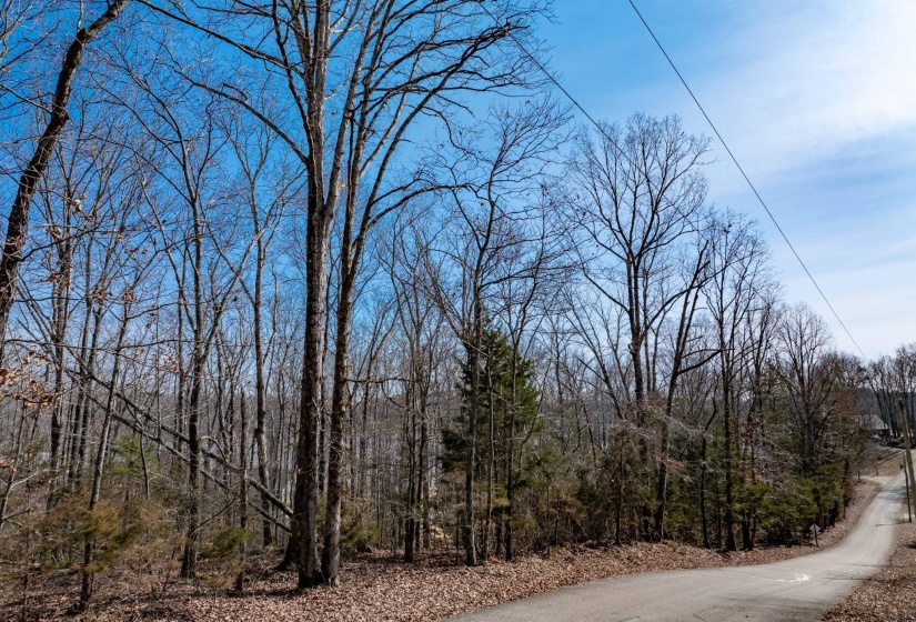 LOT 402 FAWN RIDGE RD, Parsons, Tennessee 38363, 0 , 0 ,0,Land,For Sale,FAWN RIDGE,0,10212929