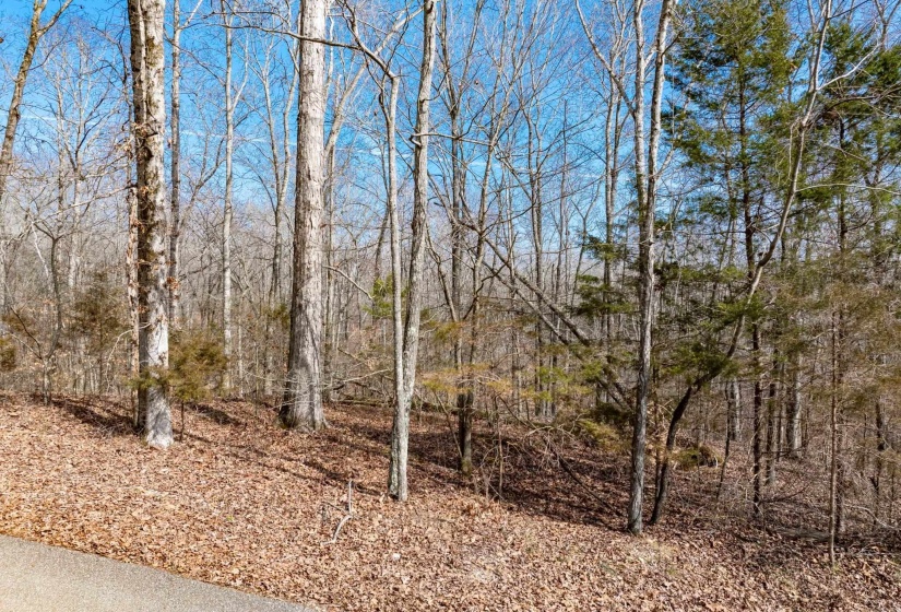 LOT 402 FAWN RIDGE RD, Parsons, Tennessee 38363, 0 , 0 ,0,Land,For Sale,FAWN RIDGE,0,10212929
