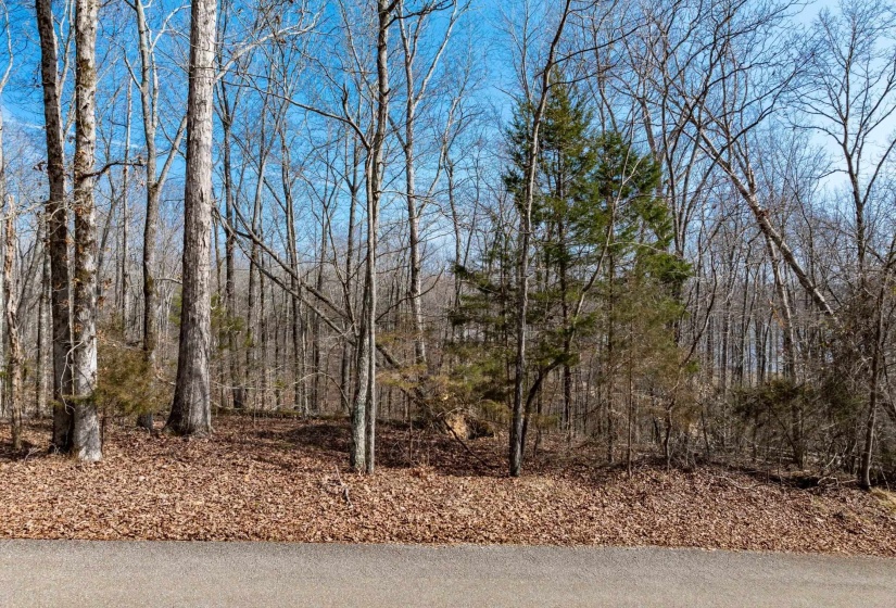 LOT 402 FAWN RIDGE RD, Parsons, Tennessee 38363, 0 , 0 ,0,Land,For Sale,FAWN RIDGE,0,10212929