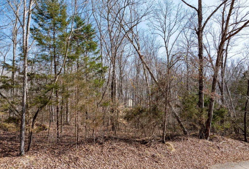 LOT 402 FAWN RIDGE RD, Parsons, Tennessee 38363, 0 , 0 ,0,Land,For Sale,FAWN RIDGE,0,10212929