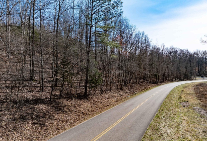 View of road