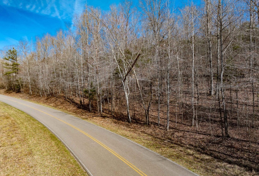 View of road