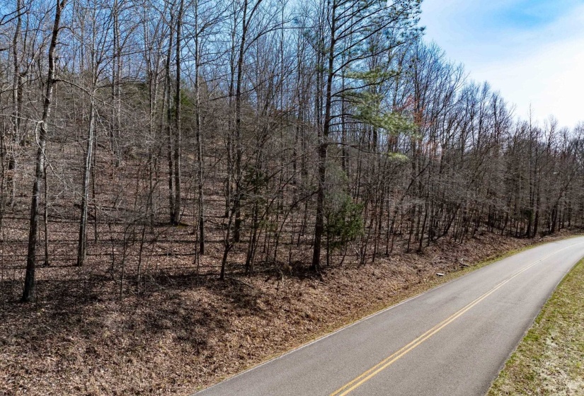 View of road