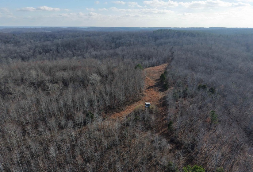 Aerial overview of property's location with a heavily wooded area