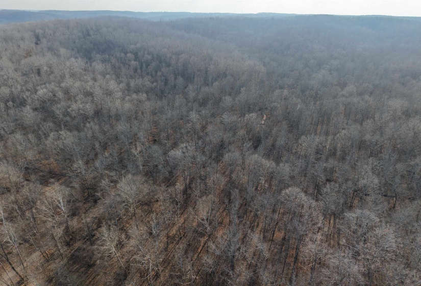 View of property location featuring a heavily wooded area