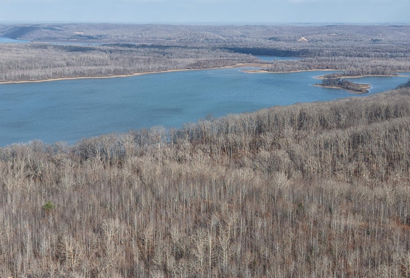Water view with a forest