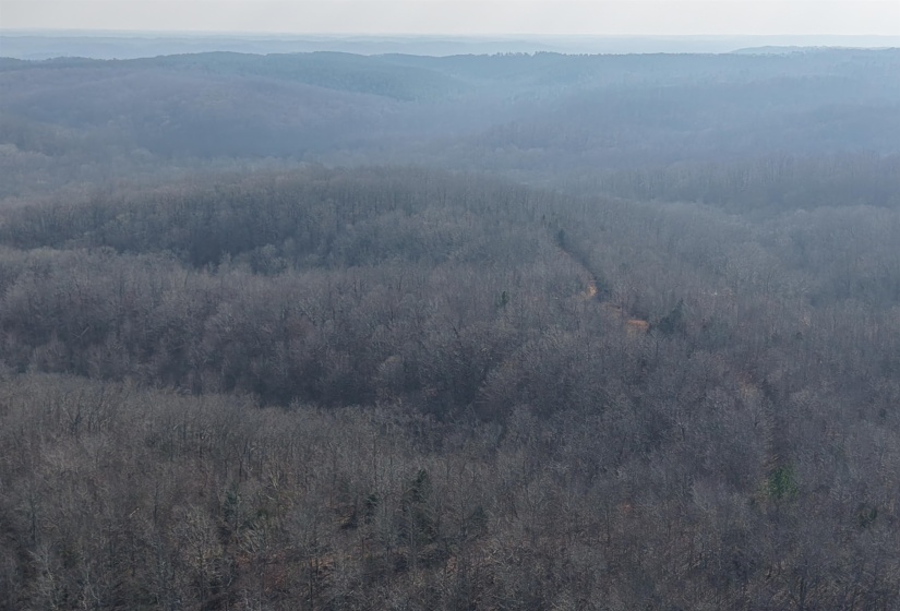 Drone / aerial view of a heavily wooded area and a mountainous background