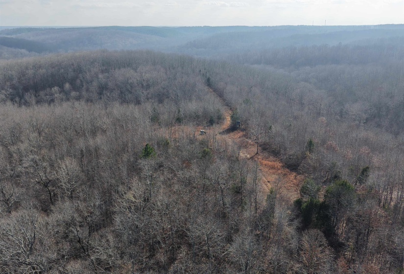 View of property location with a heavily wooded area