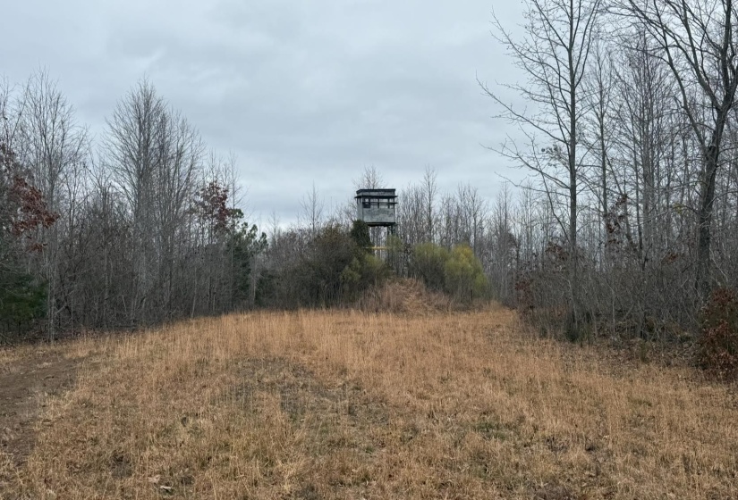 Exterior view of a heavily wooded area