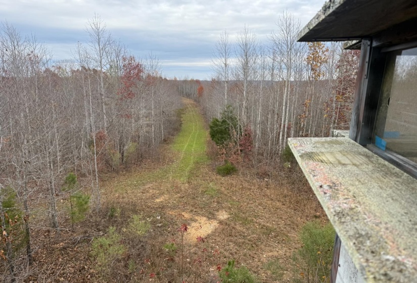 000 EAGLE CREEK RD, Holladay, Tennessee 38341, ,Land,For Sale,EAGLE CREEK,10212947