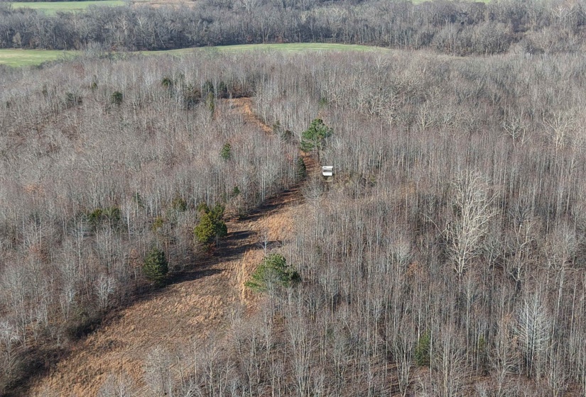 Aerial overview of property's location with a heavily wooded area