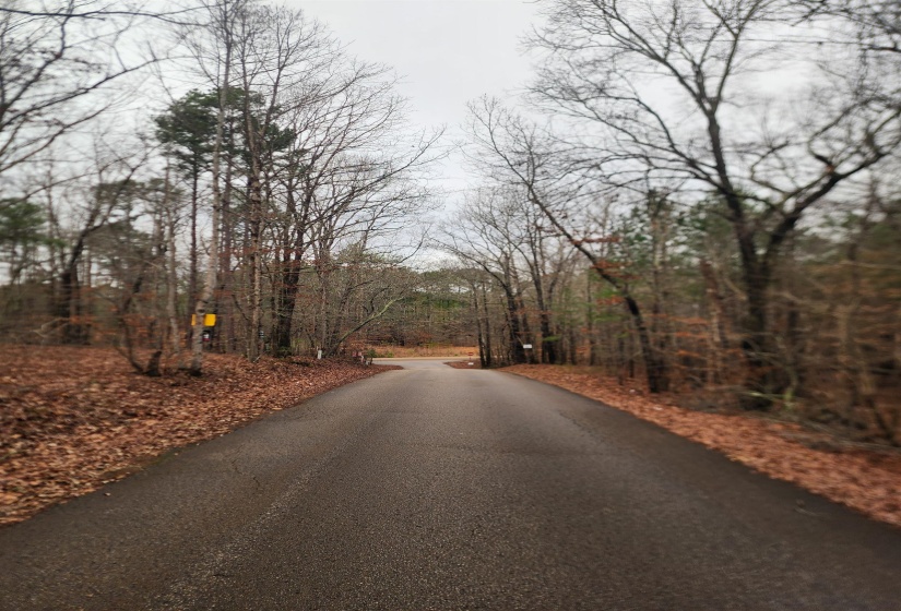 View of asphalt street with a view of trees