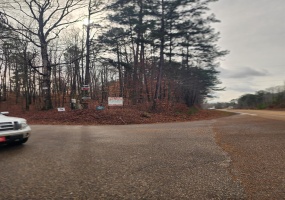 0 HWY57/RIVERDALE RD HWY, Counce, Tennessee 38326, ,Land,For Sale,HWY57/RIVERDALE RD,10212988 0 HWY57/RIVERDALE RD HWY, Counce, Tennessee 38326, ,Land,For Sale,HWY57/RIVERDALE RD,10212988
