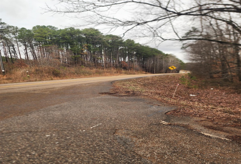 View of asphalt road with traffic signs and a forest view
