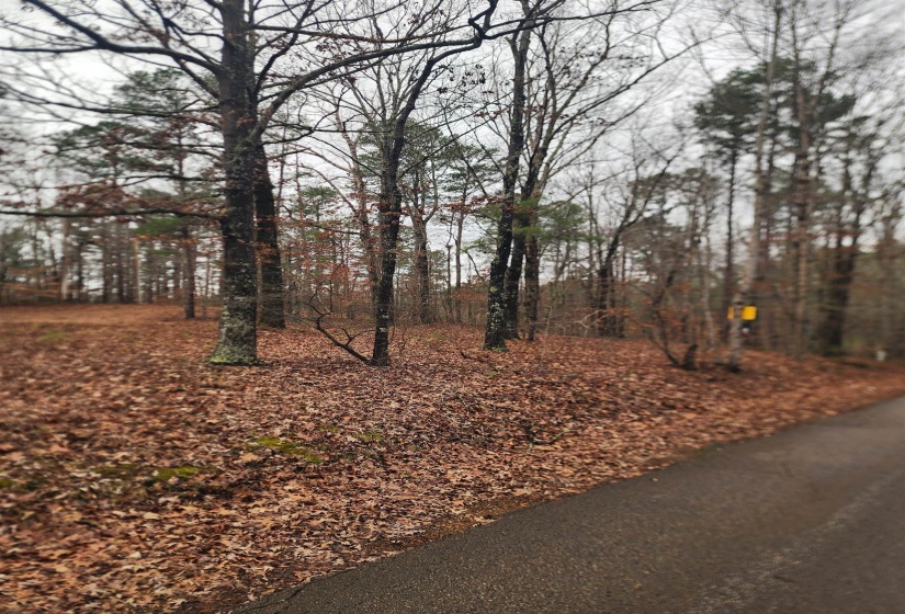 View of asphalt road