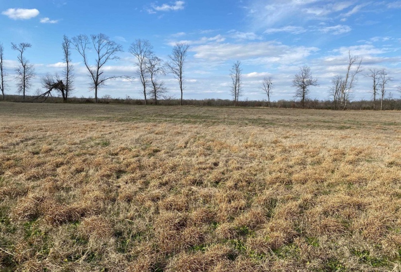 LOT 47 CRAVENS RD, Savannah, Tennessee 38372, ,Land,For Sale,CRAVENS,10213023