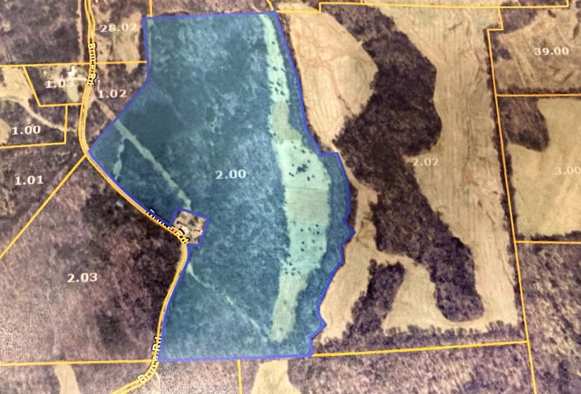 0 BRUCE RD, Whiteville, Tennessee 38075, ,Land,For Sale,BRUCE,10213186