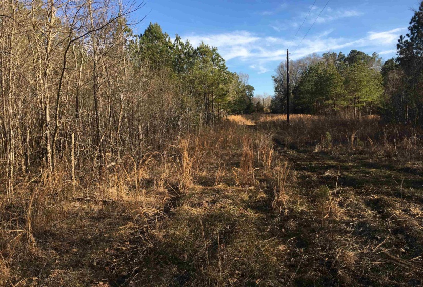 0 BRUCE RD, Whiteville, Tennessee 38075, ,Land,For Sale,BRUCE,10213186