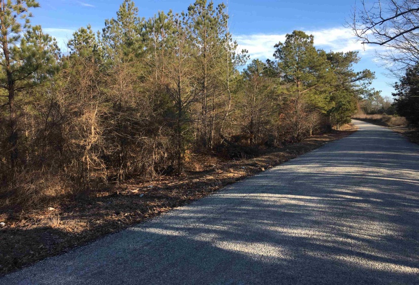 0 BRUCE RD, Whiteville, Tennessee 38075, ,Land,For Sale,BRUCE,10213186