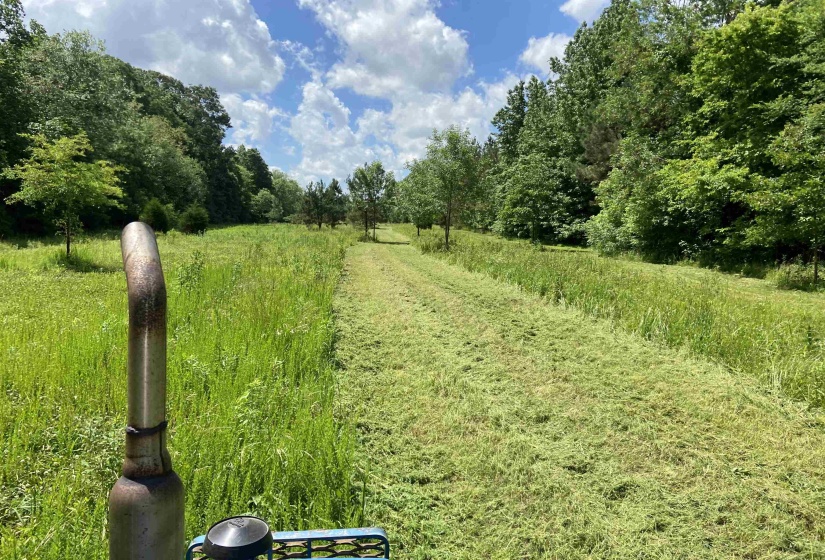 0 BRUCE RD, Whiteville, Tennessee 38075, ,Land,For Sale,BRUCE,10213186